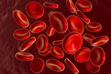 Eritrociti Eritrociti